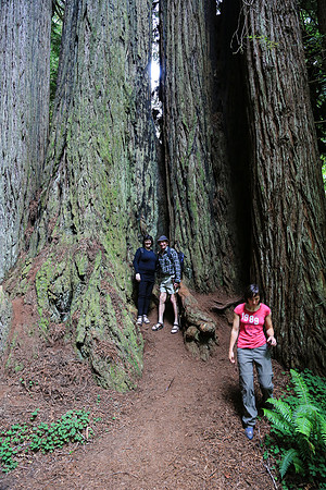 San Fran to Seattle Trip 142