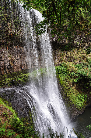DSC_0200