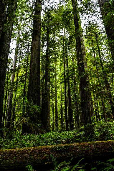 San Fran to Seattle Trip 101