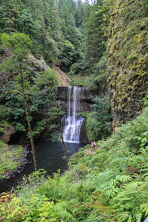 San Fran to Seattle Trip 506