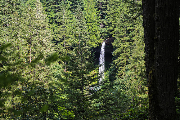 San Fran to Seattle Trip 563