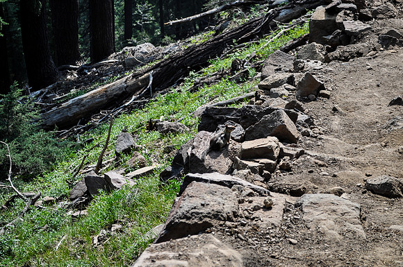 DSC_0142