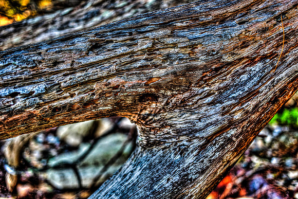 Aged