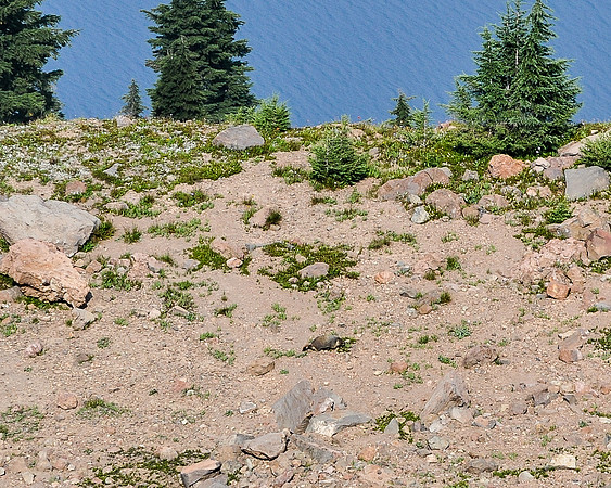 DSC_0134