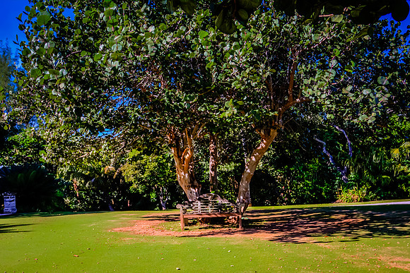 20131222-AH4A9317_8_9_tonemapped