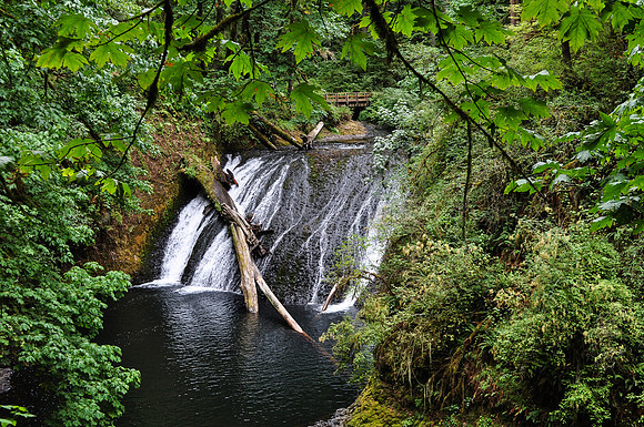 DSC_0205