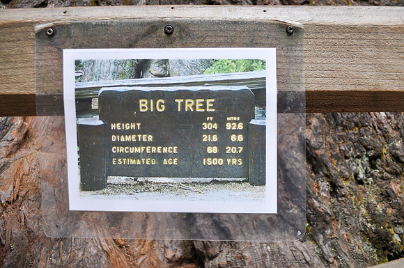 DSC_0109