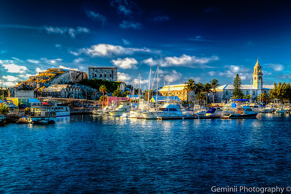 BermudaYP (1 of 1)-7