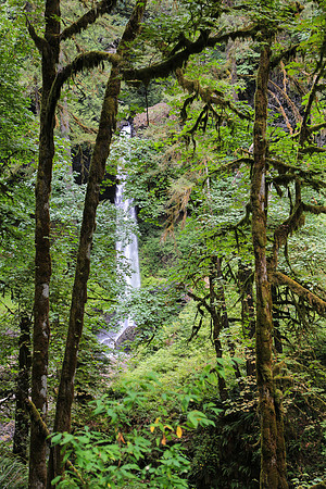 San Fran to Seattle Trip 542