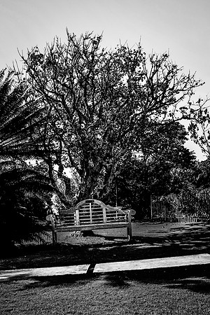 20131222-AH4A9311_2_3_tonemapped